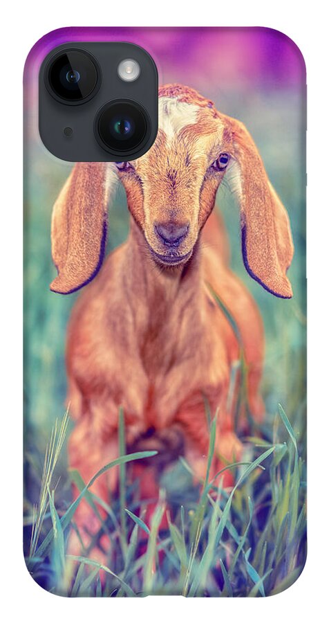 Adorable iPhone 14 Case featuring the photograph Hazel by TC Morgan