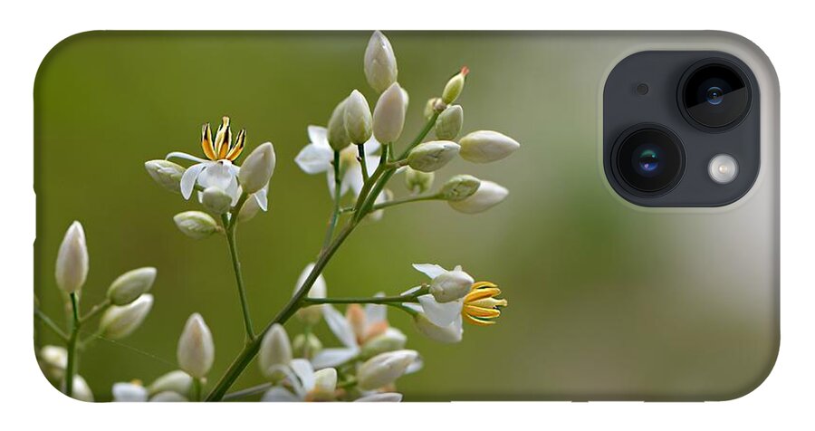 Flowers iPhone 14 Case featuring the photograph Her Majesty by Carolyn Mickulas