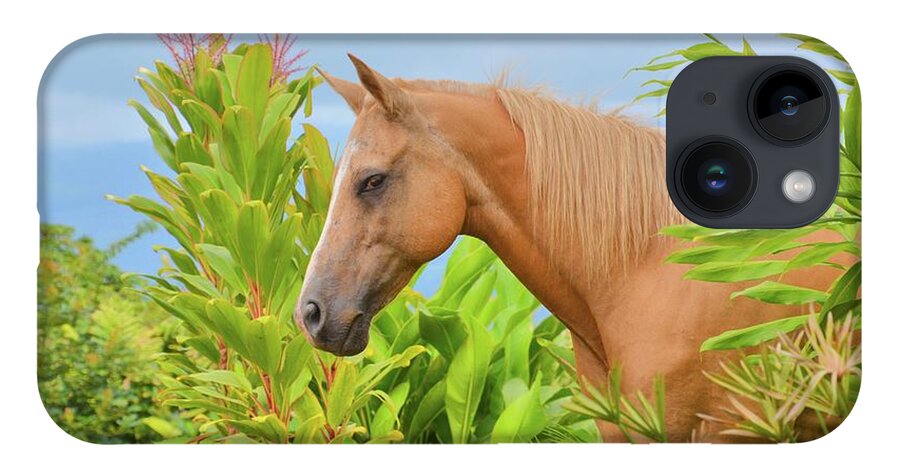 Horse iPhone 14 Case featuring the photograph Horse in the Rainforest II by Tammie Miller