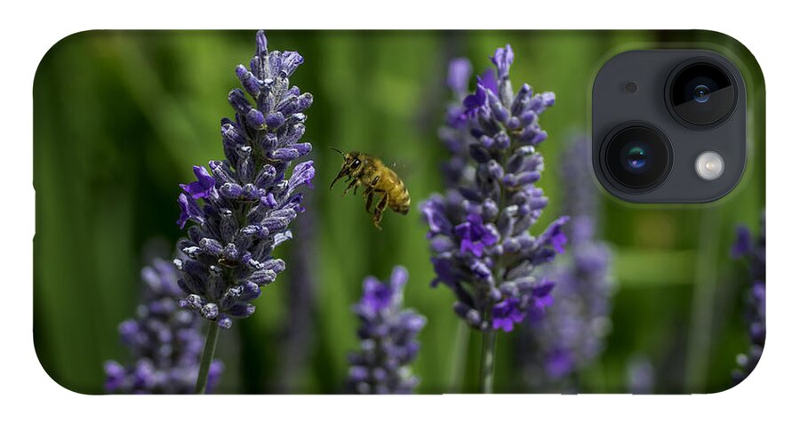 Flowers iPhone 14 Case featuring the photograph Hovering Bee by Mark Joseph