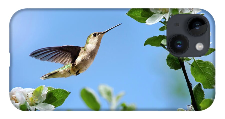 Birds iPhone 14 Case featuring the photograph Hummingbird Springtime by Christina Rollo