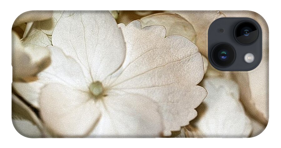 Hydrangea iPhone 14 Case featuring the photograph Hydrangea Blossom in Sepia Tones by Andrea Lazar