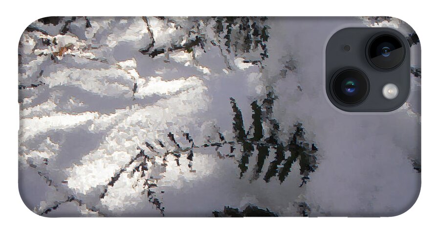 Winter iPhone 14 Case featuring the photograph Icy Fern by Nicole Angell