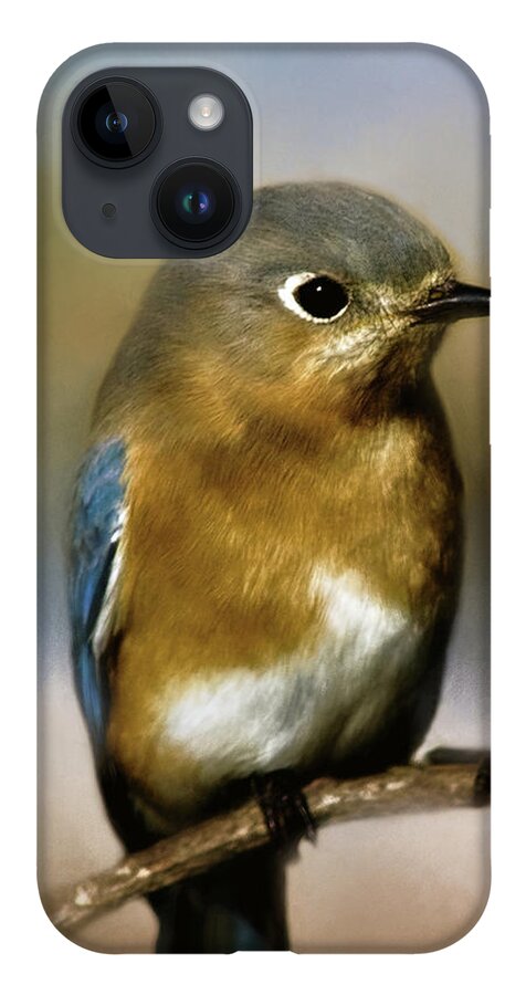Animal iPhone 14 Case featuring the photograph I'm a Bluebird by Lana Trussell