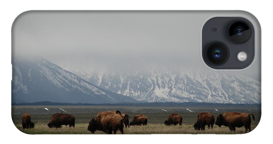 Bison iPhone 14 Case featuring the photograph in the Tetons by Jim Goodman