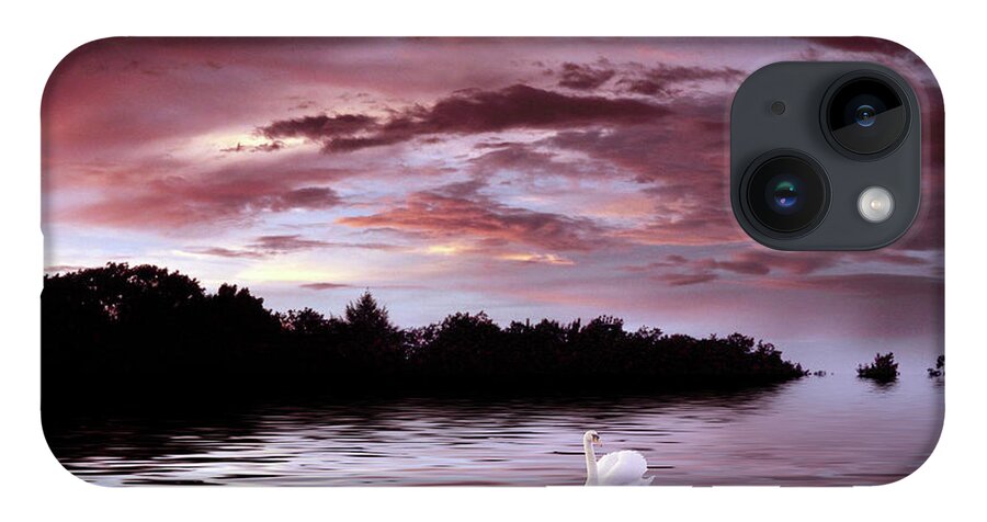 Swan iPhone 14 Case featuring the photograph Sunset Swim by Jessica Jenney