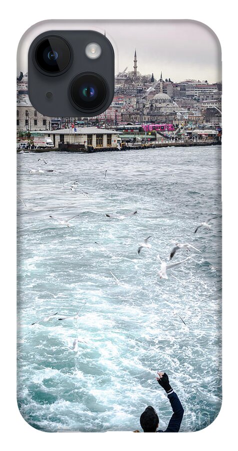 Birds iPhone 14 Case featuring the photograph Istanbul to Kadikoy, Ferry Ride on the Golden Horn by Perry Rodriguez
