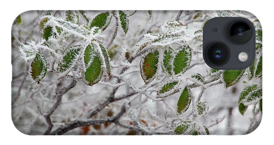 Frost iPhone 14 Case featuring the photograph It's Cold Outside by Mike Eingle
