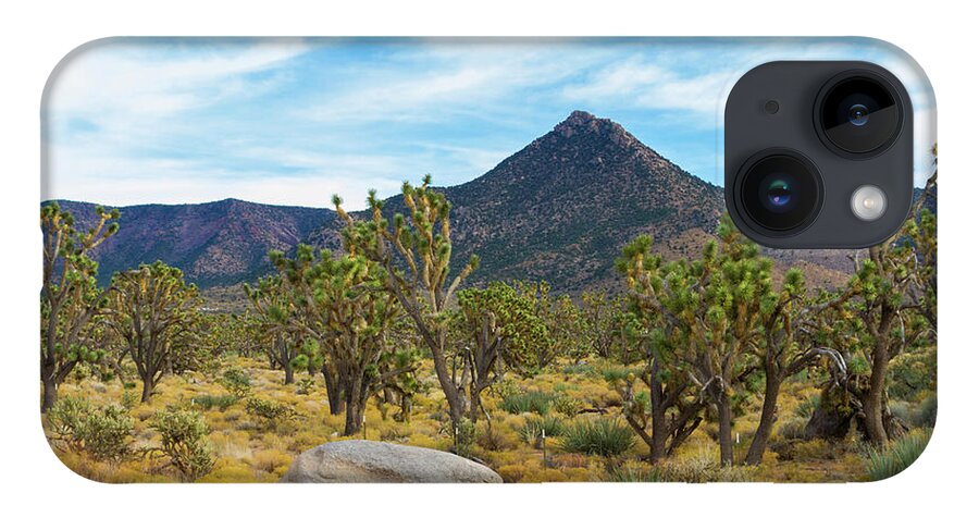 Joshua Tree Forest iPhone Case featuring the photograph Joshua Tree Forest by Bonnie Follett