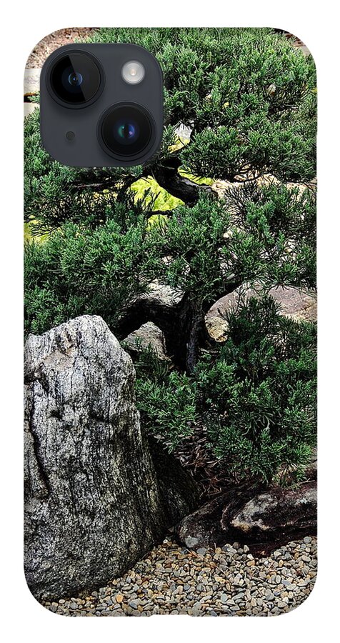 Tree iPhone 14 Case featuring the photograph Juniper by Allen Nice-Webb