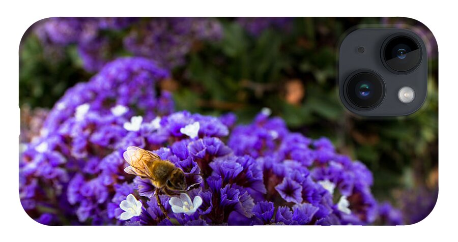 Bee iPhone 14 Case featuring the photograph Just a quick stop by Lora Lee Chapman
