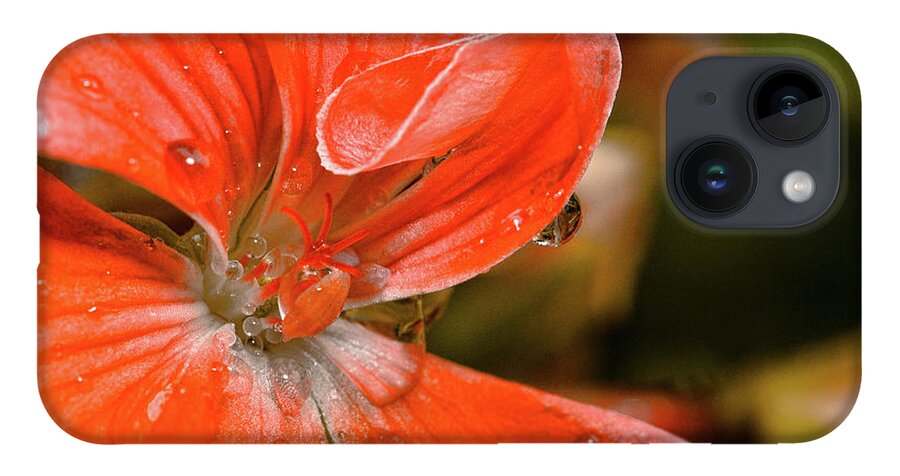 Flower iPhone Case featuring the photograph Kissed By The Rain by Christopher Holmes
