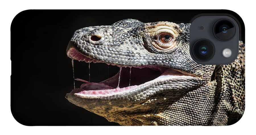 Zoo iPhone Case featuring the photograph Komodo Dragon Profile by Bill Cubitt