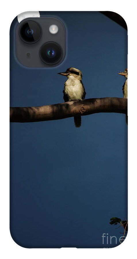 Kookaburra iPhone 14 Case featuring the photograph Kookaburra pair in gum tree by Sheila Smart Fine Art Photography
