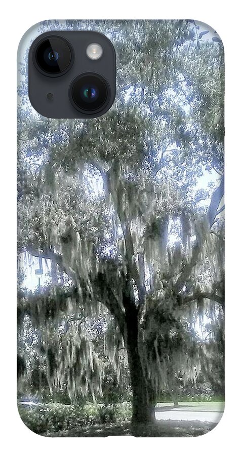Tree. Florida iPhone 14 Case featuring the photograph Largo's Spanish Moss by Suzanne Berthier