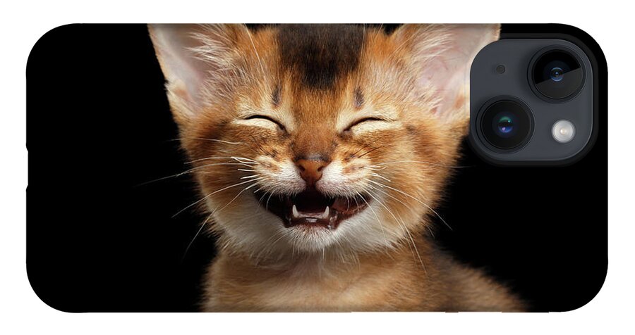 Kitten iPhone 14 Case featuring the photograph Laughing Kitten by Sergey Taran