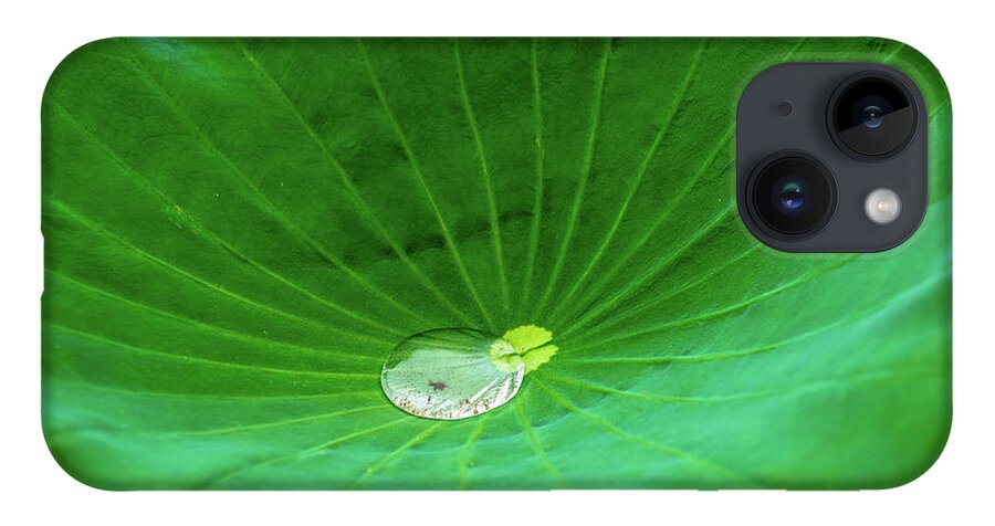 Bloom iPhone 14 Case featuring the photograph Leaf Cupping a Giant Water Drop by Dennis Dame