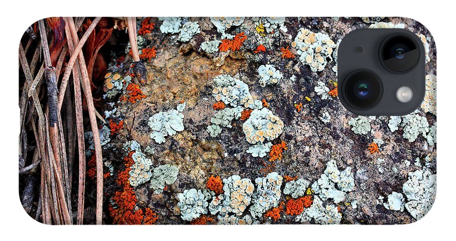 Lichen With Pine iPhone 14 Case featuring the photograph Lichen with Pine by Natalie Dowty