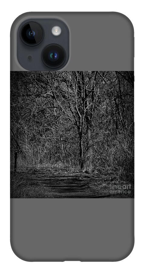 Light And Shadow iPhone 14 Case featuring the photograph Light and Wood Monochrome by Frank J Casella