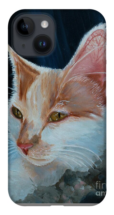 Cat iPhone Case featuring the painting Lily by Jackie MacNair