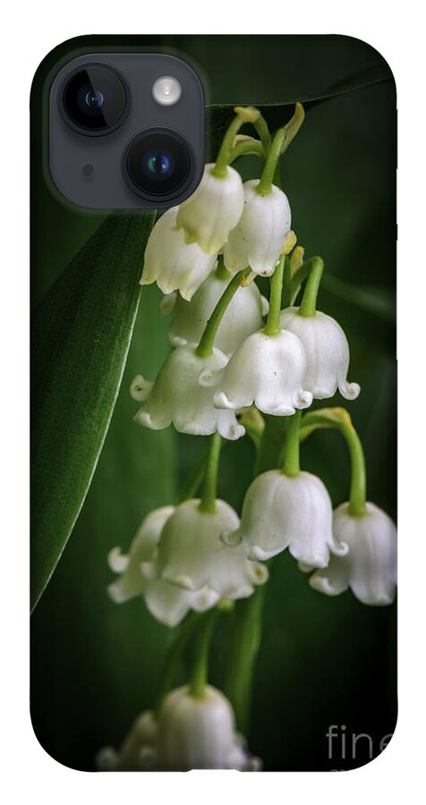 Lily Of The Valley iPhone 14 Case featuring the photograph Lily Of The Valley Bouquet by Tamara Becker