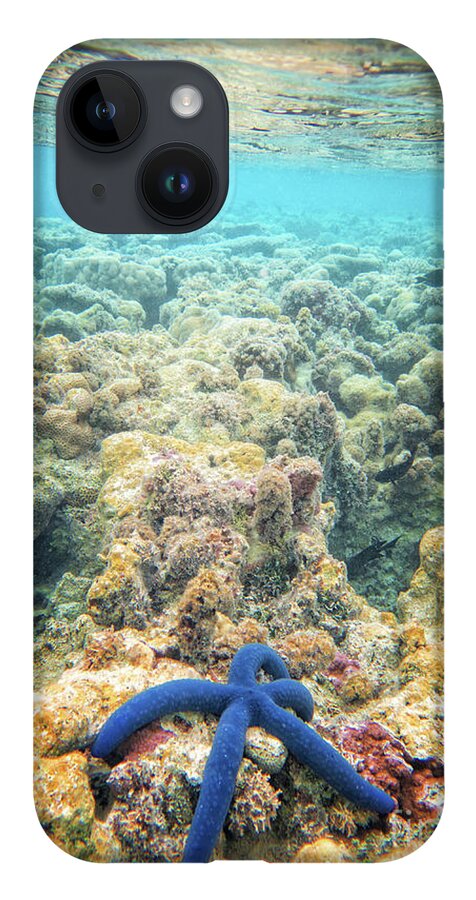 Coral Reef iPhone 14 Case featuring the photograph Linkia Love by Becqi Sherman