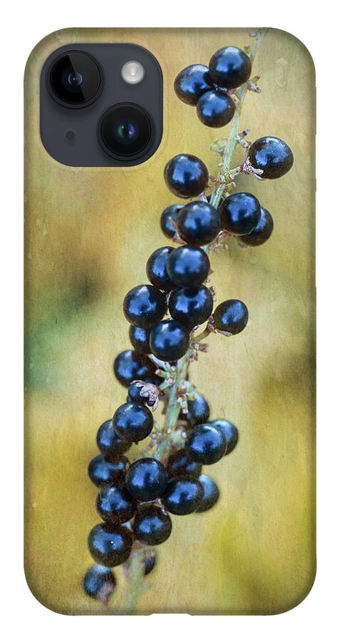 Nature iPhone 14 Case featuring the photograph Liriope stalk by Robert FERD Frank