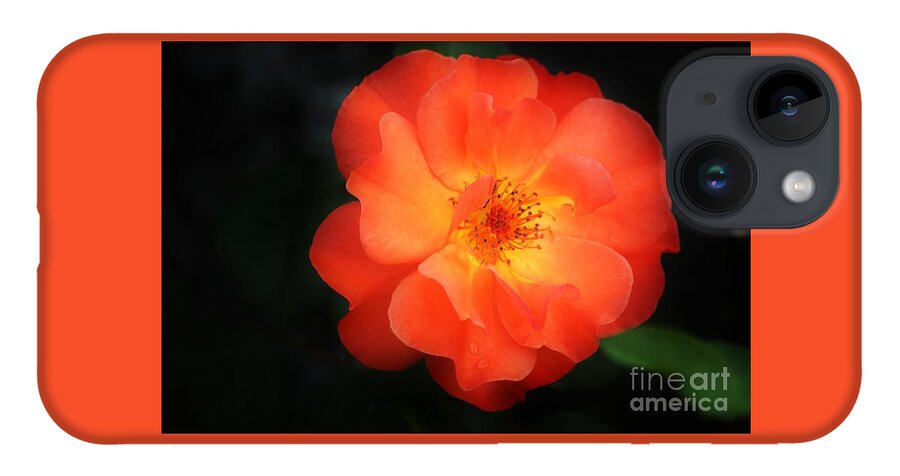 Flower iPhone 14 Case featuring the photograph Lite up by Merle Grenz