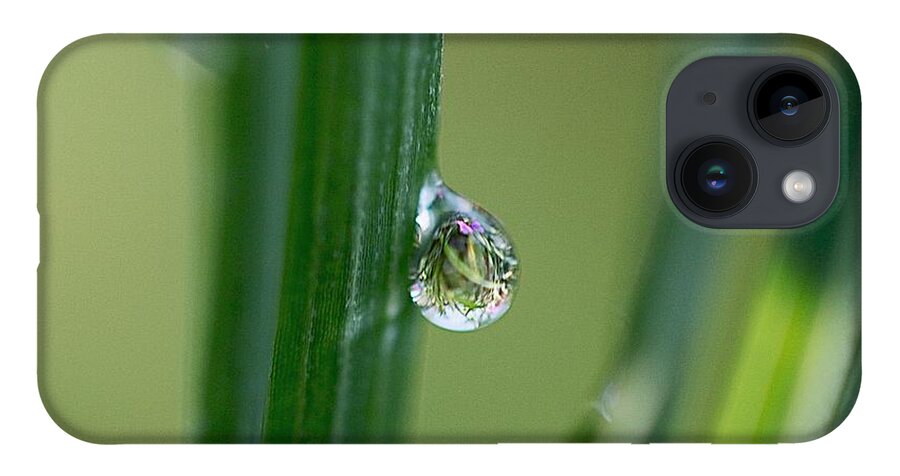 Droplets iPhone 14 Case featuring the photograph Little garden in the droplet by Yumi Johnson