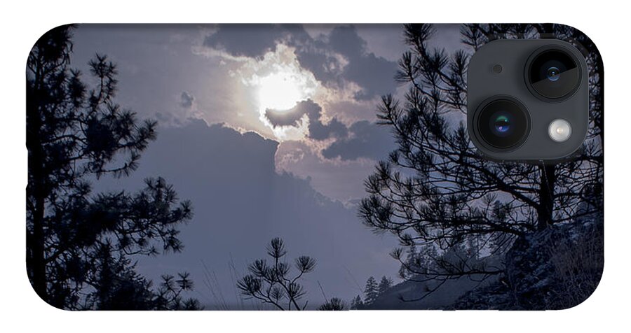 Rattlesnake Mt iPhone 14 Case featuring the photograph Little Pine by Troy Stapek