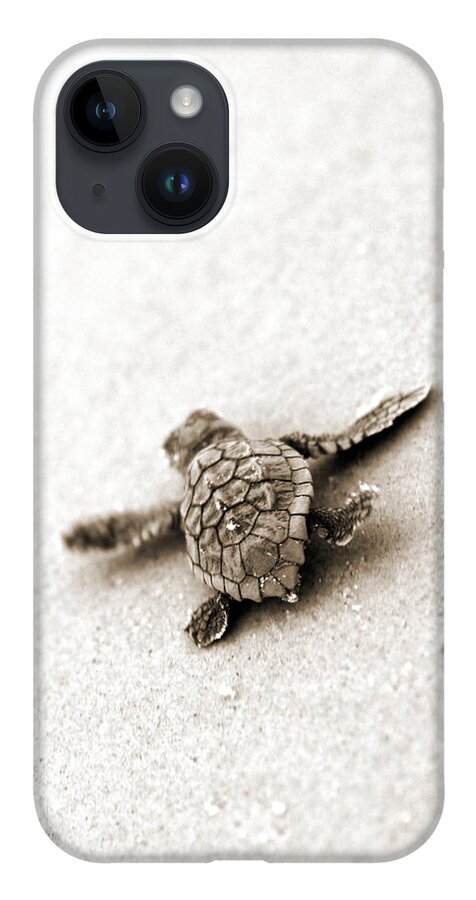 Loggerhead Turtle! Hilton Head Island iPhone 14 Case featuring the photograph Loggerhead by Michael Stothard