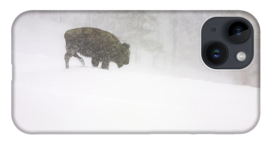 Landscape iPhone 14 Case featuring the photograph Lone Buffalo Bull in Winter Storm by Craig J Satterlee