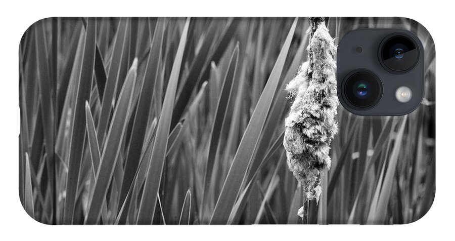 Nature iPhone Case featuring the photograph Lone Cattail by Lisa Blake