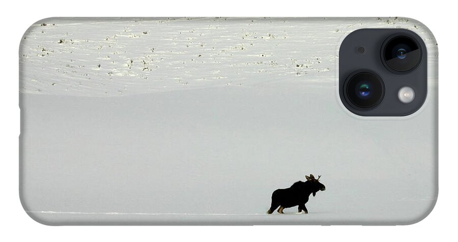 Moose iPhone 14 Case featuring the photograph Lone Moose by Patricia Montgomery