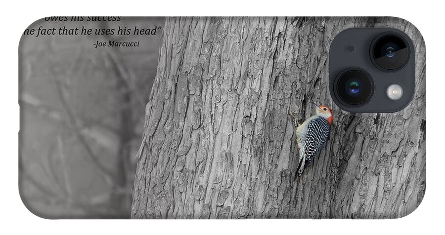 Red-bellied Woodpecker iPhone 14 Case featuring the photograph Lonely Woodpecker by Holden The Moment