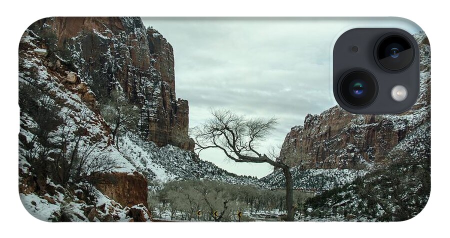 Utah iPhone 14 Case featuring the photograph Lonesome snowy winter in Zion by Gaelyn Olmsted