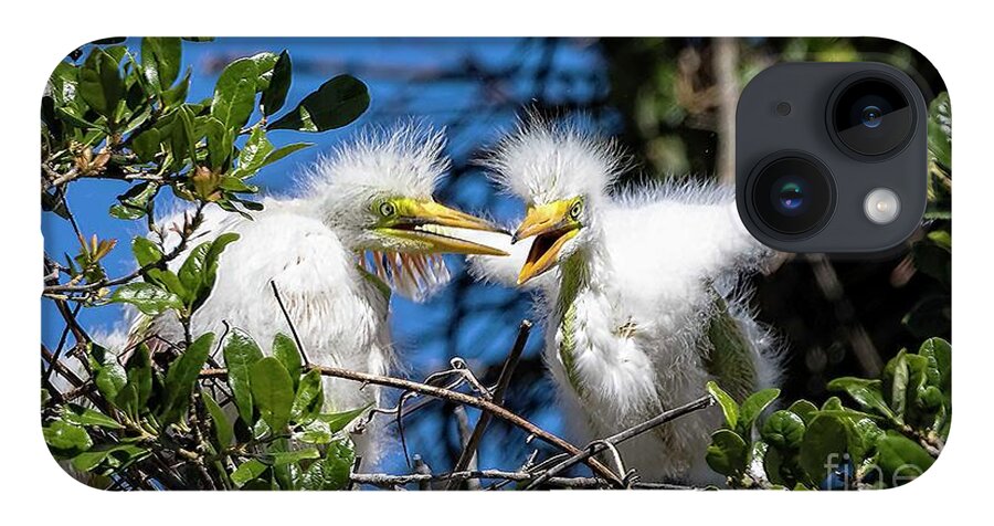 Egrets iPhone 14 Case featuring the photograph Look - I Have Wings by DB Hayes