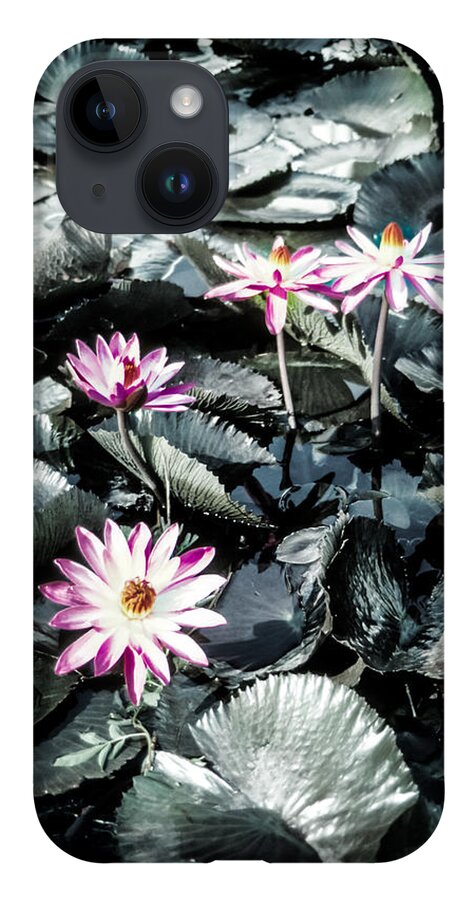 Flowers iPhone 14 Case featuring the photograph Lotus Flowers by Randy Sylvia
