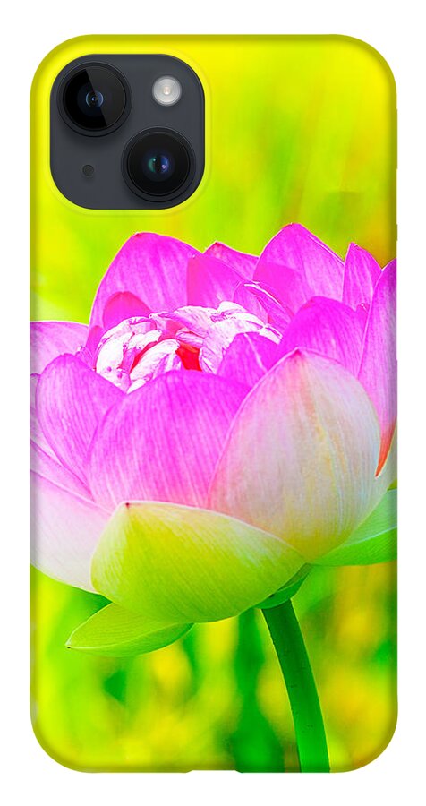 Lotus Flowers iPhone 14 Case featuring the photograph Lotus by Michael Hubley