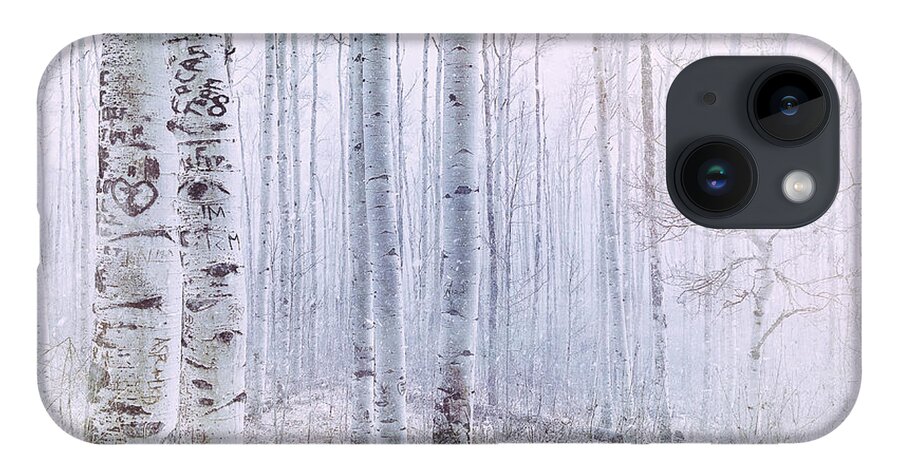 Landscape iPhone Case featuring the photograph Love Amidst the Aspens by Kevyn Bashore