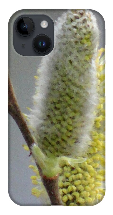 Spring iPhone Case featuring the photograph Lovely spring by Karin Ravasio