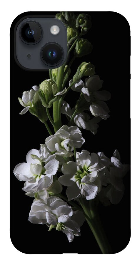 Flower iPhone 14 Case featuring the photograph Low Key Flowers by Tim Abeln