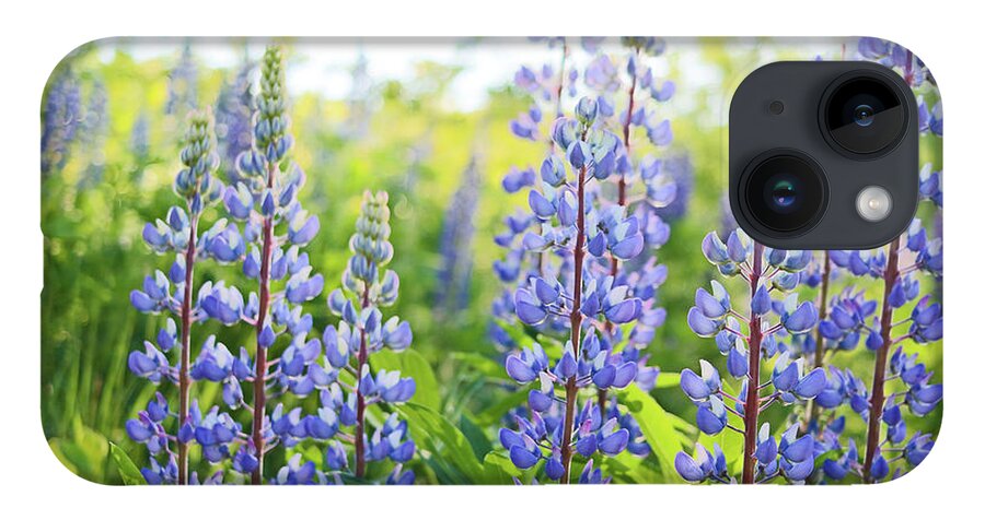 Lupines iPhone 14 Case featuring the photograph Lupines by Holly Ross