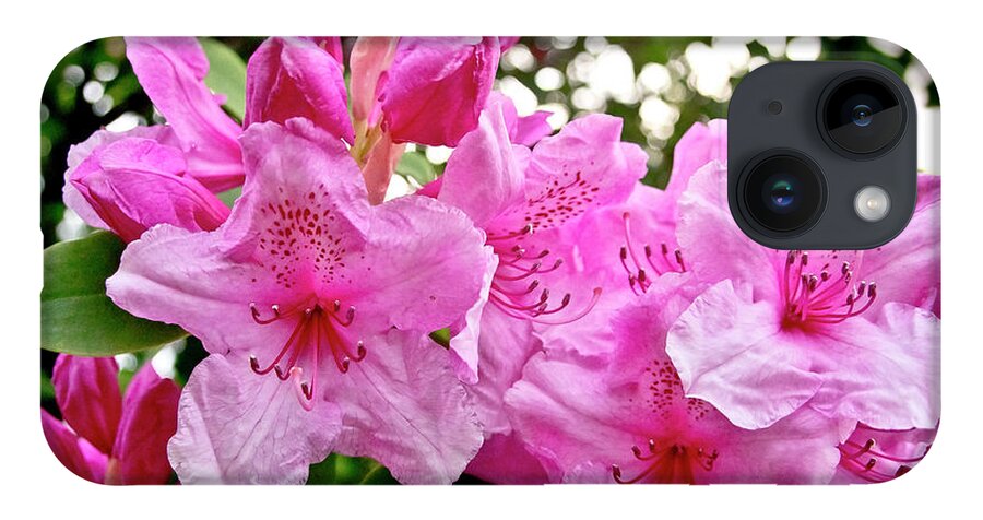 Lush iPhone Case featuring the photograph Lush spring of the pink rhododendrons. by Elena Perelman