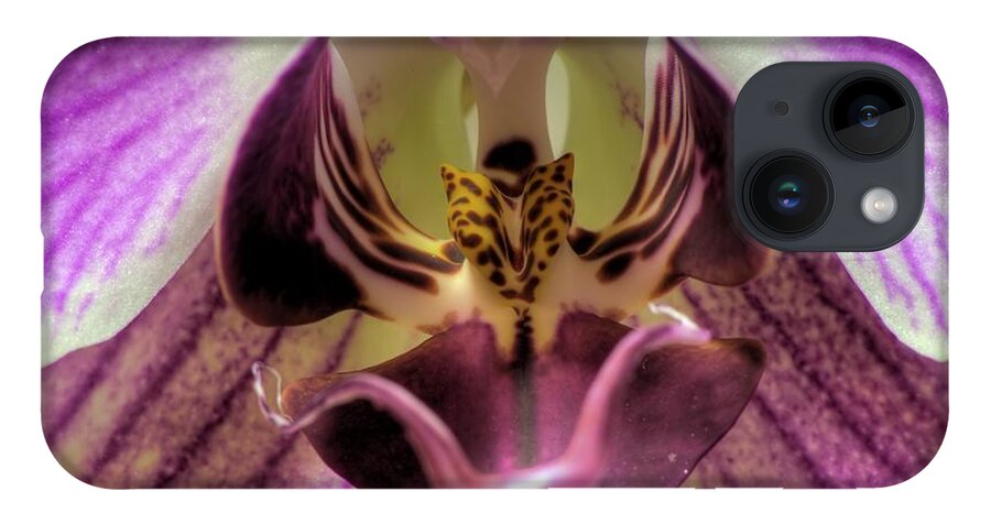 Hdr iPhone 14 Case featuring the photograph Macro Orchid by Brad Granger