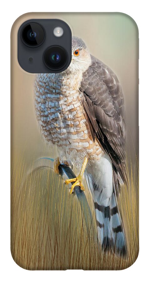 Hawk iPhone 14 Case featuring the photograph Majestic by Cathy Kovarik