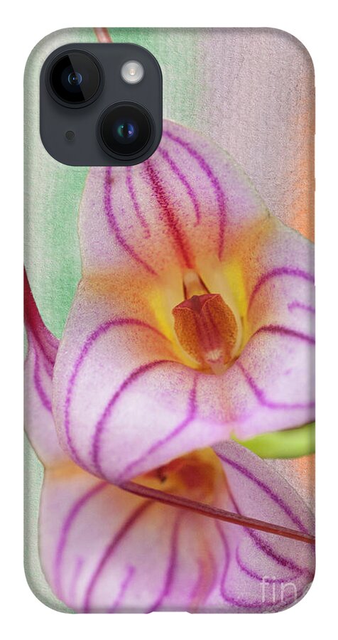 Orchid iPhone 14 Case featuring the photograph Masdevallia Orchid Pink Stripes by Heiko Koehrer-Wagner