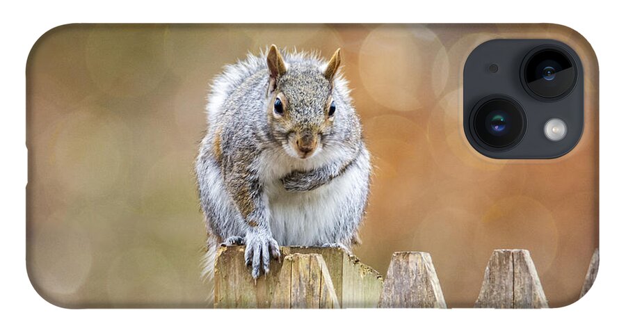 Squirrel iPhone 14 Case featuring the photograph May I Introduce Myself by Cathy Kovarik