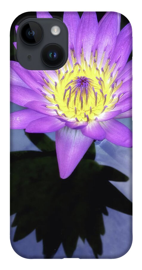 Aquatic iPhone 14 Case featuring the photograph Beautiful reflection of waterlily in a pond. by Usha Peddamatham