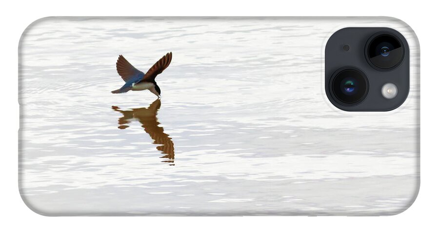 Tree Swallow iPhone 14 Case featuring the photograph Me and My Shadow by Susan Rissi Tregoning